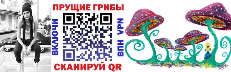 Купить закладки  Советск  Псилоцибиновые грибы MAGIC MUSHROOMS 